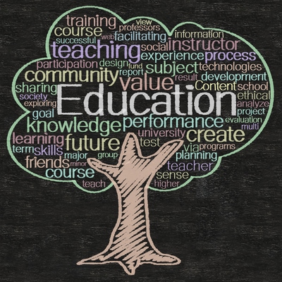 Tree shaped word cloud with Education as the most prominent word